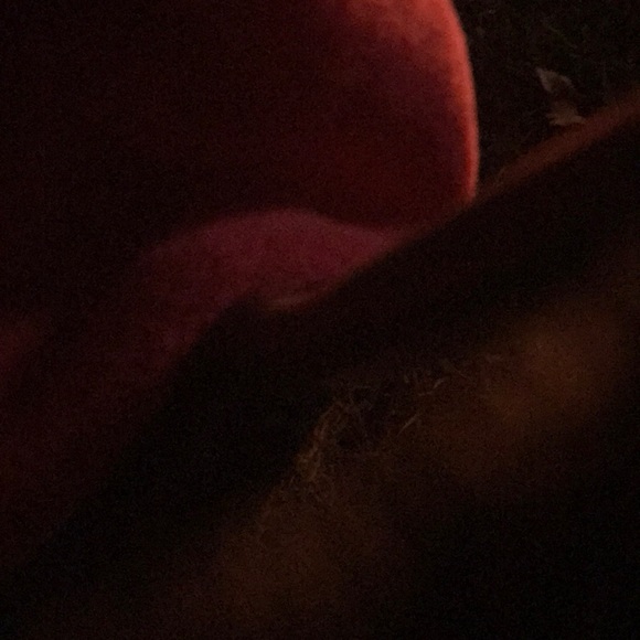 Meet your Posher, Wendy - Picture 1 of 1